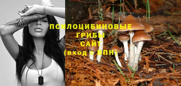 МДМА Ладушкин