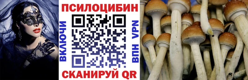 как найти   кракен tor  Галлюциногенные грибы Magic Shrooms  Пучеж 